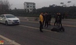 梅华车祸最新爆料视频,视频揭示惊人细节，事故真相再引热议